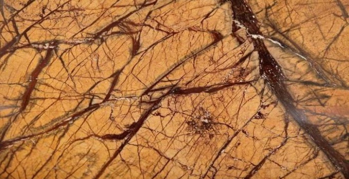 RAINFOREST GOLD